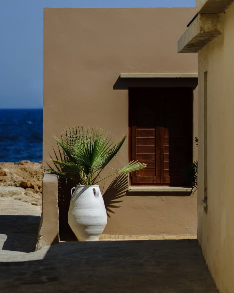 Mediterranean courtyard with palm tree and sea view